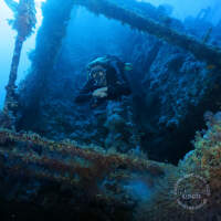 Seven Seas Trip 2017