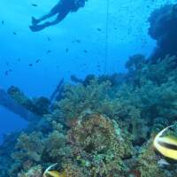 Seven Seas Trip 2017