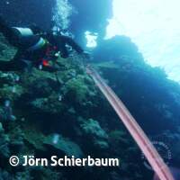 Seven Seas Trip 2017