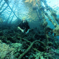 Seven Seas Trip 2017