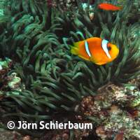 Seven Seas Trip 2017