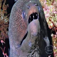 Seven Seas Trip 2017