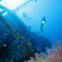 Seven Seas Trip 2017