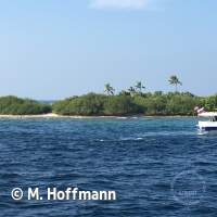 Typische, kleine Islands